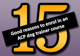 15 good reasons to enrol in an ACP dog trainers course