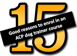 15 good reasons to enrol in an ACP dog trainers course