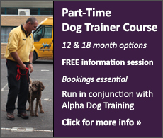 Part-Time Dog Trainer's Course