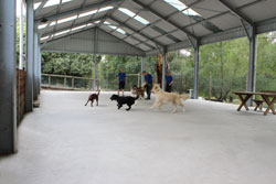 The Alpha Canine Group purpose-built outdoor training facility