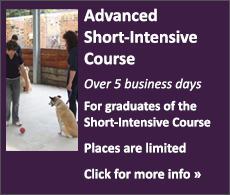 Advanced Full-Time Dog Trainer's Course