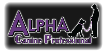 Alpha Canine Professional