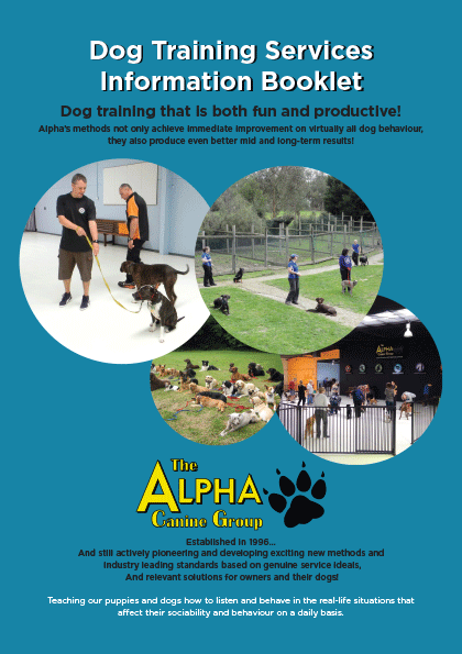 FREE, detailed information booklet on our training services (PDF) FREE, detailed information booklet on our training services (PDF)