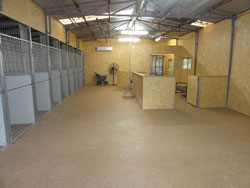 The Alpha Canine Group's Specialist Indoor Canine Good Behaviour Shaping and Observation Complex