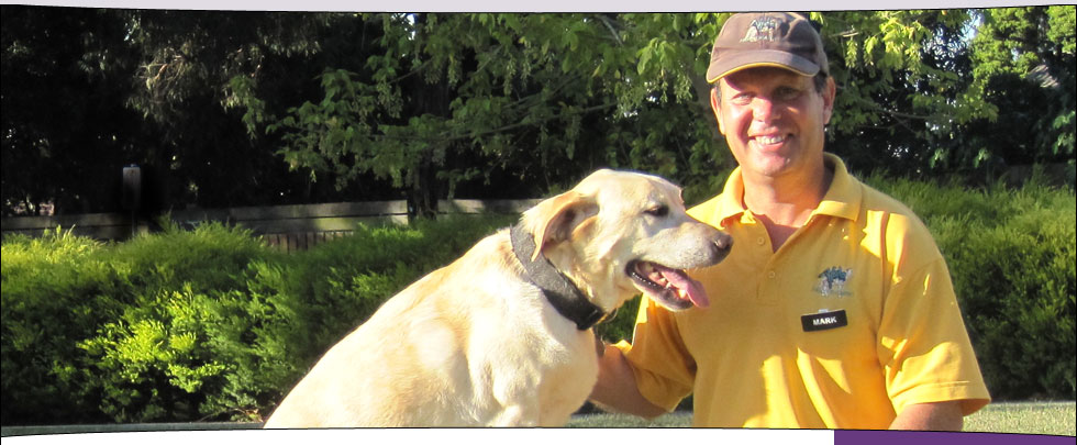 Mark and his dog, Ralph (Golden Labrador)