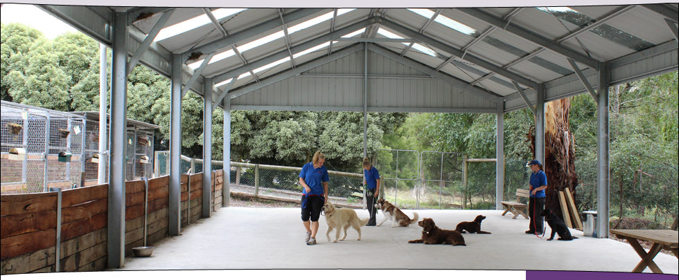 The Alpha Canine Group purpose-built outdoor training facility
