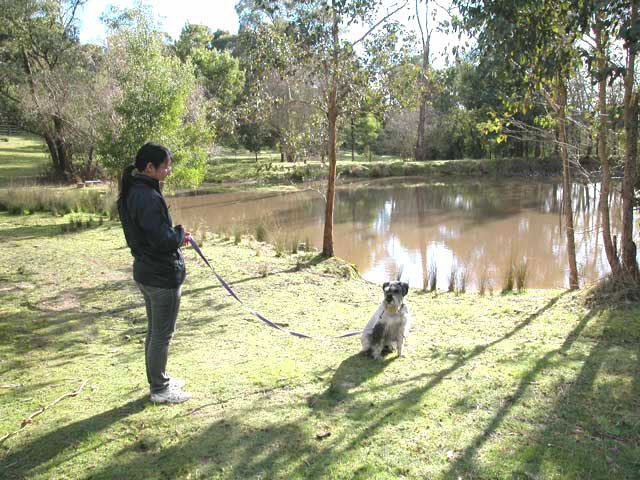 Alpha Canine Professional Alpha Canine Professional