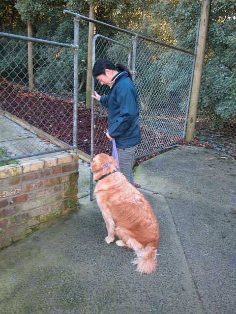 Alpha Canine Professional Alpha Canine Professional