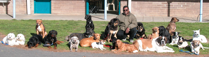 Alpha Canine Professional Alpha Canine Professional